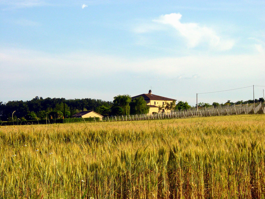 קאסטיגליונה דל לאגו Agriturismo Verbena מראה חיצוני תמונה